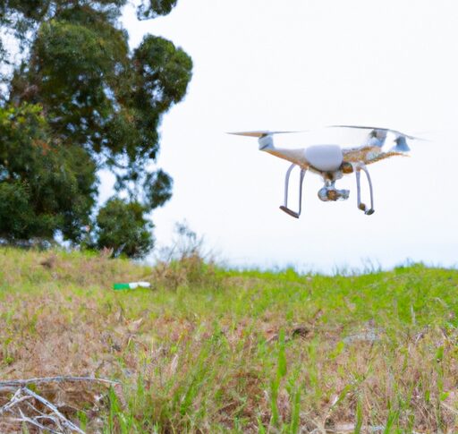 Using Drones for Environmental Monitoring and Conservation